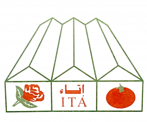 Naeemullah 