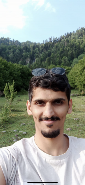 Ali Al-Harthei