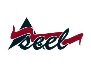 أسيـــــــــل                                                              Aseel                                                                       I